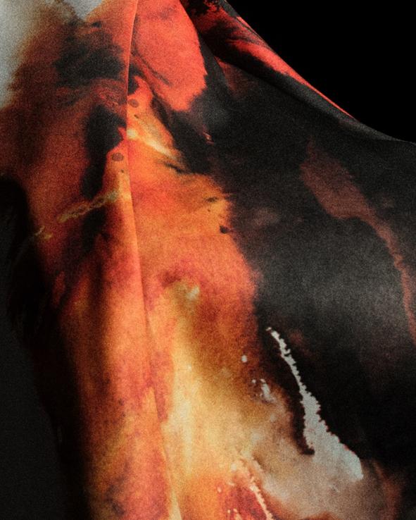 是因为其家 是因为其家