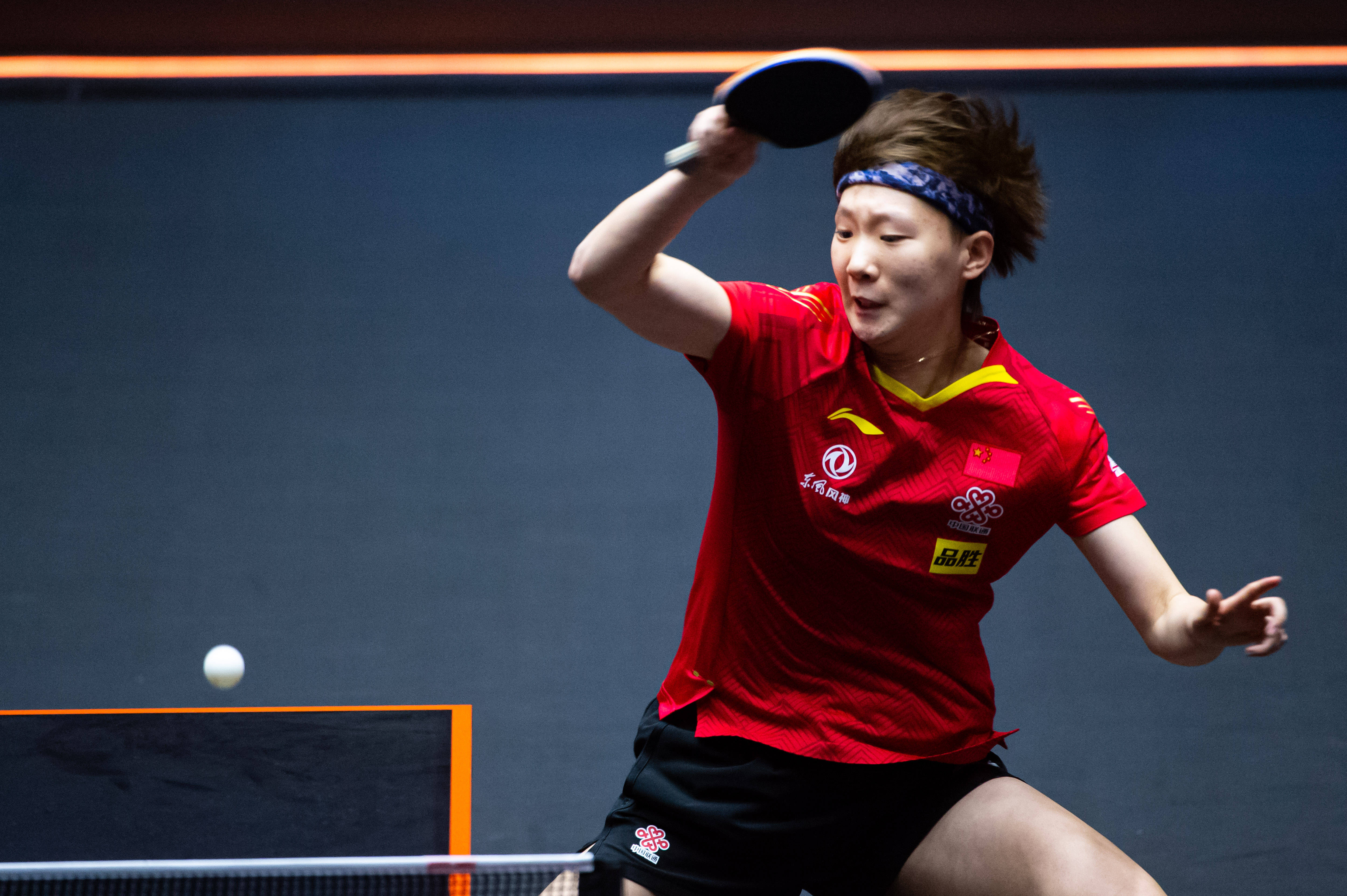 动物与冰雪 动物与冰雪