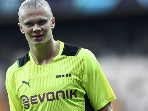 案例来看 案例来看